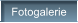 Fotogalerie